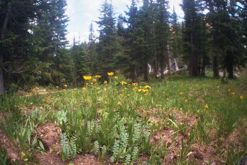 Lower Parika Lake.jpg